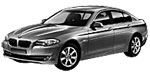 BMW F10 P2518 Fault Code